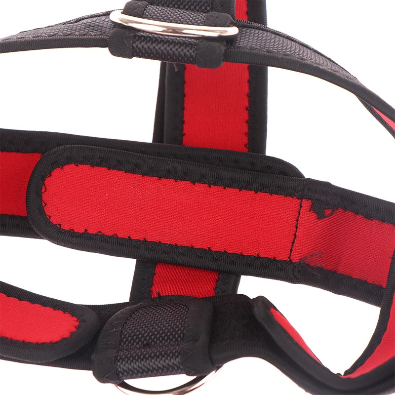 Uprząż do trenowania mięśni szyi